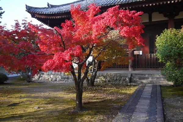 地点画像04