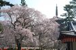 サムネイル地点画像06
