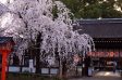 サムネイル地点画像03