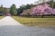 サムネイル地点画像02