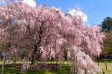 サムネイル地点画像03