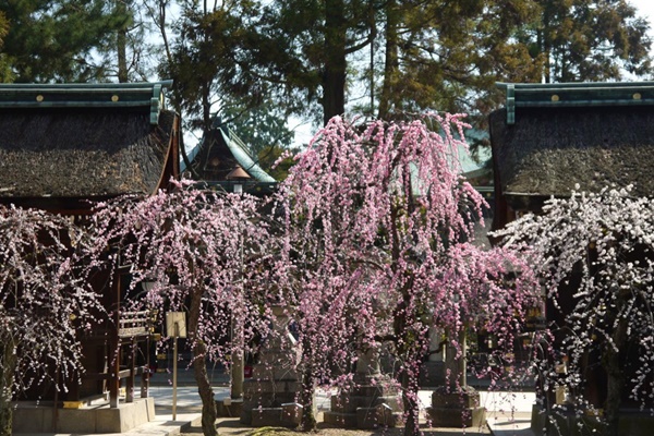 地点画像05