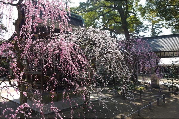 地点画像06