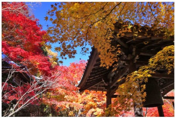 地点画像08