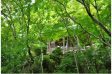 サムネイル地点画像03