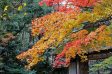 サムネイル地点画像07
