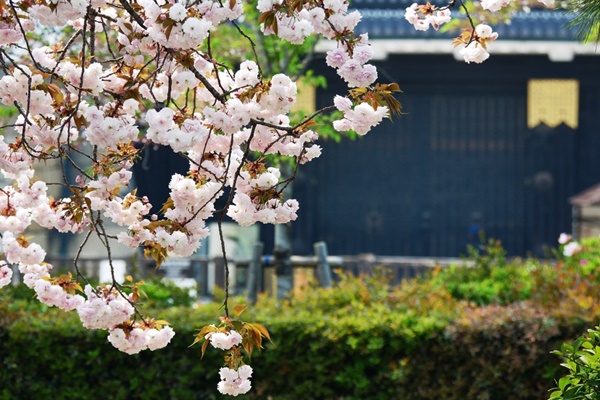 地点画像05